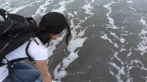 Beach patrol in Parasmina, Costa Rica for turtle conservation. 